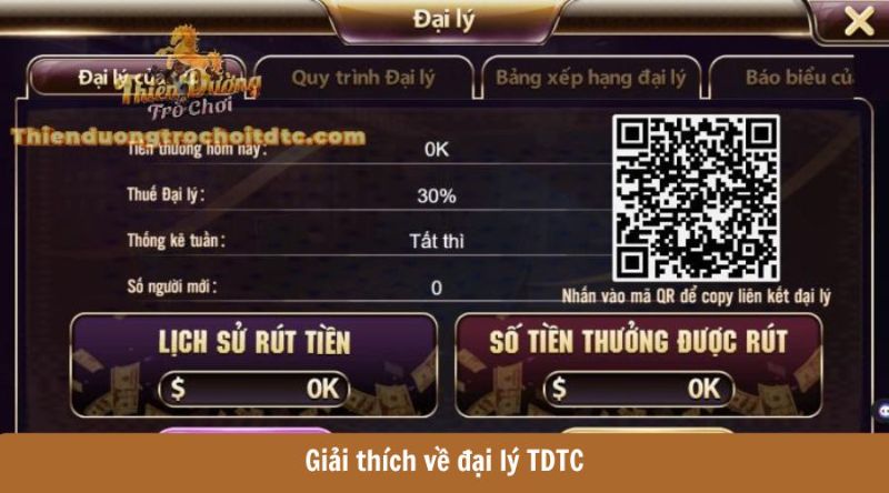 Giải thích về đại lý TDTC