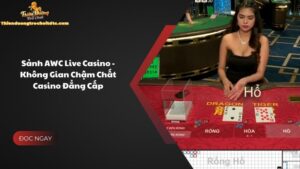 Tìm Hiểu Sảnh AWC Live Casino - Không Gian Chậm Chất Casino Đẳng Cấp