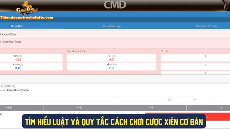 Các luật và quy tắc trong cược xiên cần biết