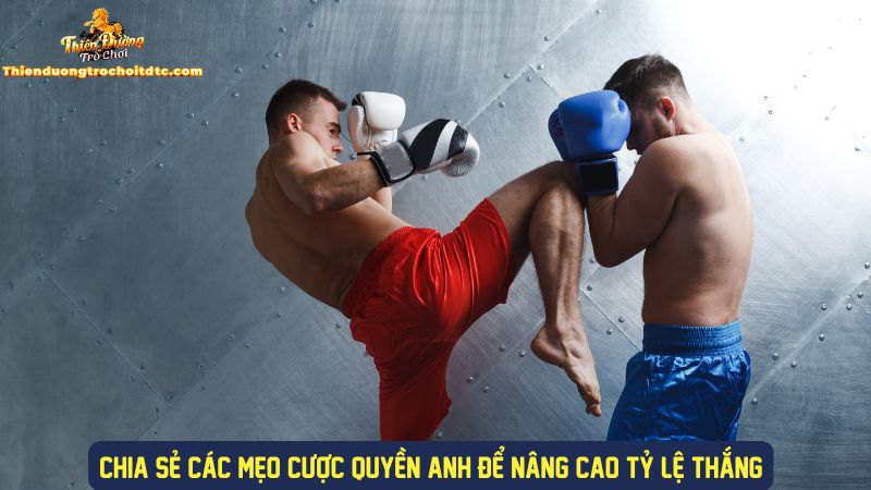 Các mẹo cược quyền anh phổ biến hiện nay