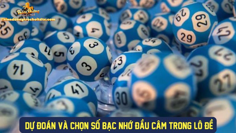 Dự đoán và chọn số trong bạc nhớ đầu câm