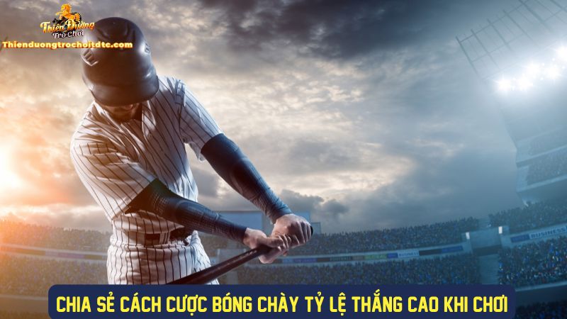 Mẹo cược bóng chày thắng lớn khi chơi