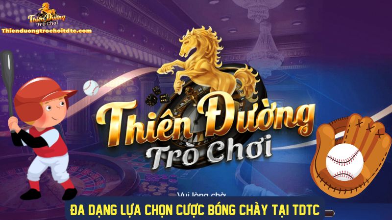 Nhiều lựa chọn cược bóng chày tại cổng game