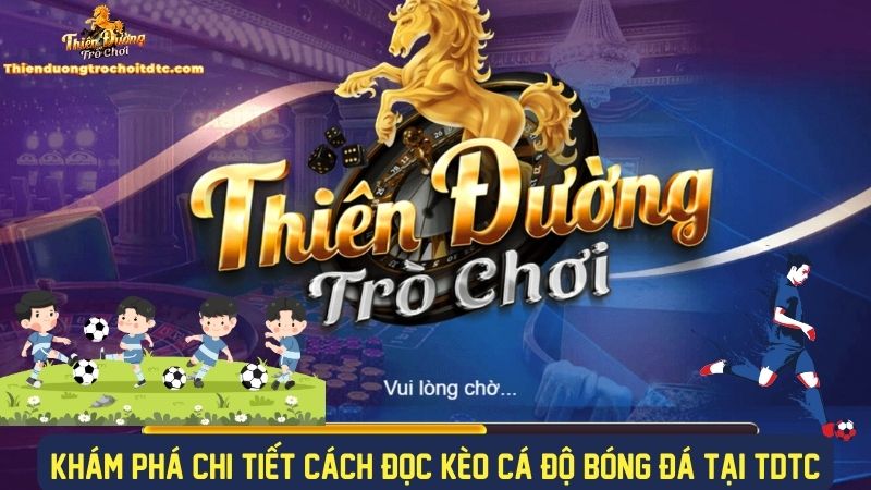 Tổng quan hiểu cách đọc kèo cá độ bóng đá