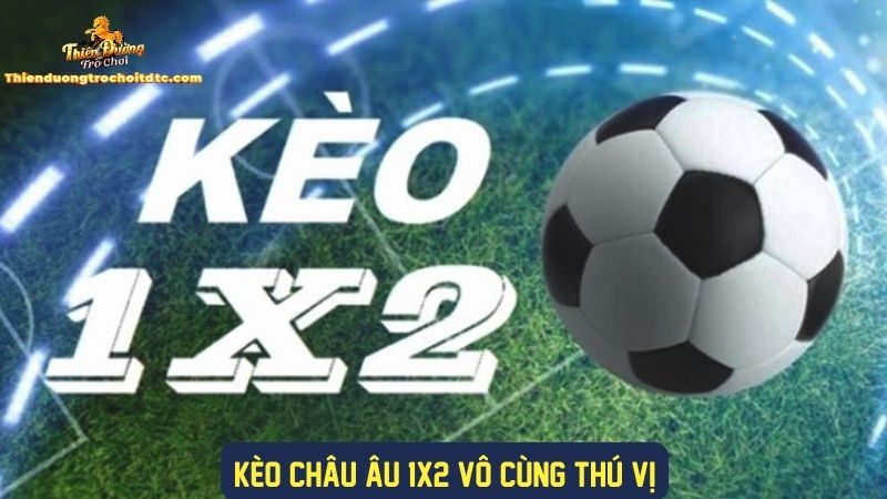 Trải nghiệm chơi kèo 1x2 đa dạng