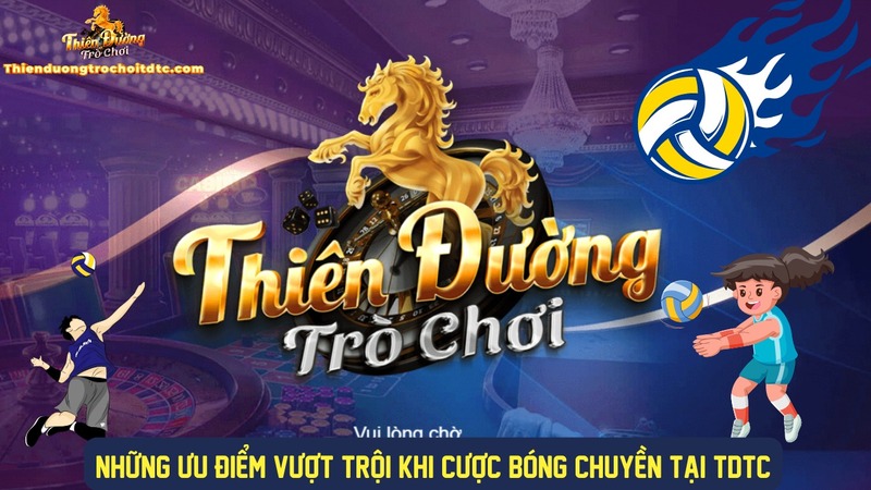 Trải nghiệm cược bóng chuyền hấp dẫn